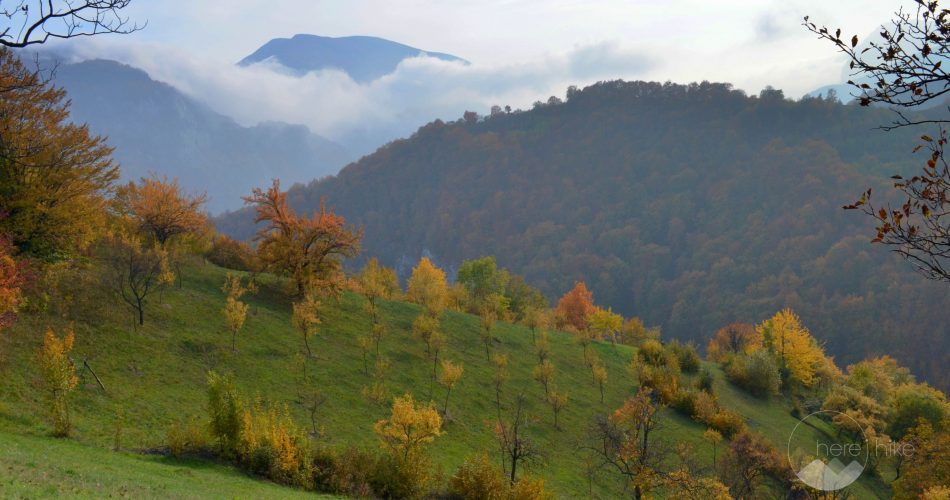 Cerna-Valley-Prisacina-Gorge-9