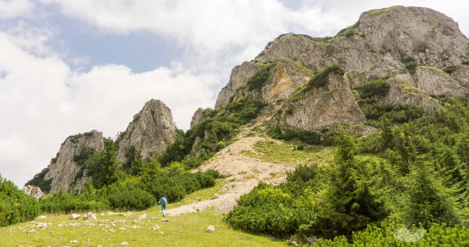 Romanias-National-Parks-13