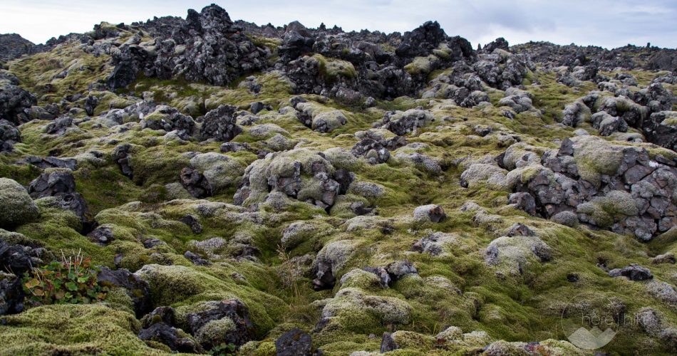 10-reasons-to-visit-Iceland-7