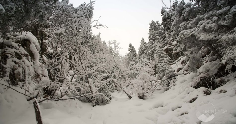 Fagaras-Winter-easy-hike-8