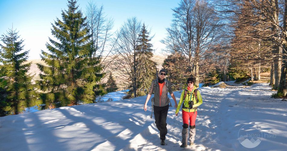Tarcu-Peak-winter-hike-1