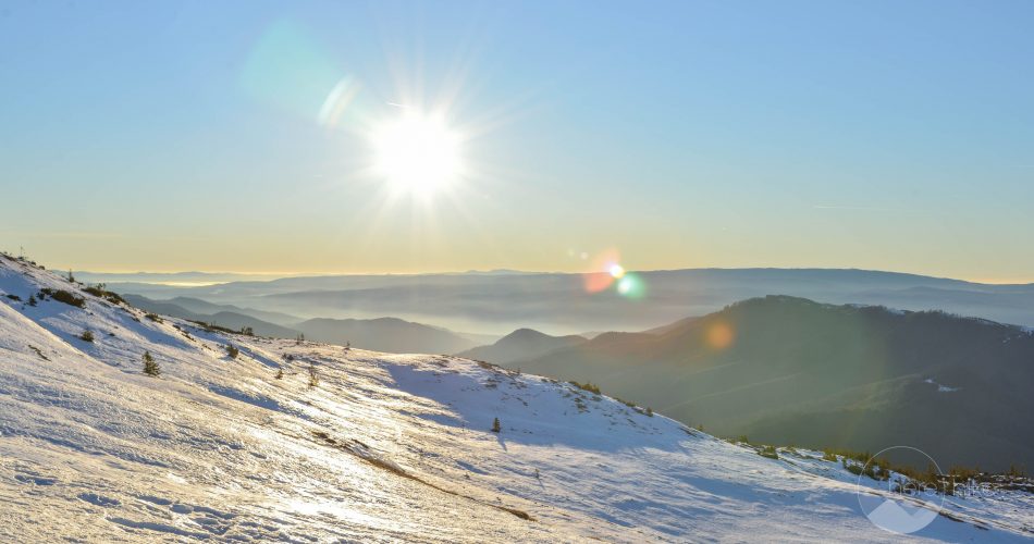 Tarcu-Peak-winter-hike-22