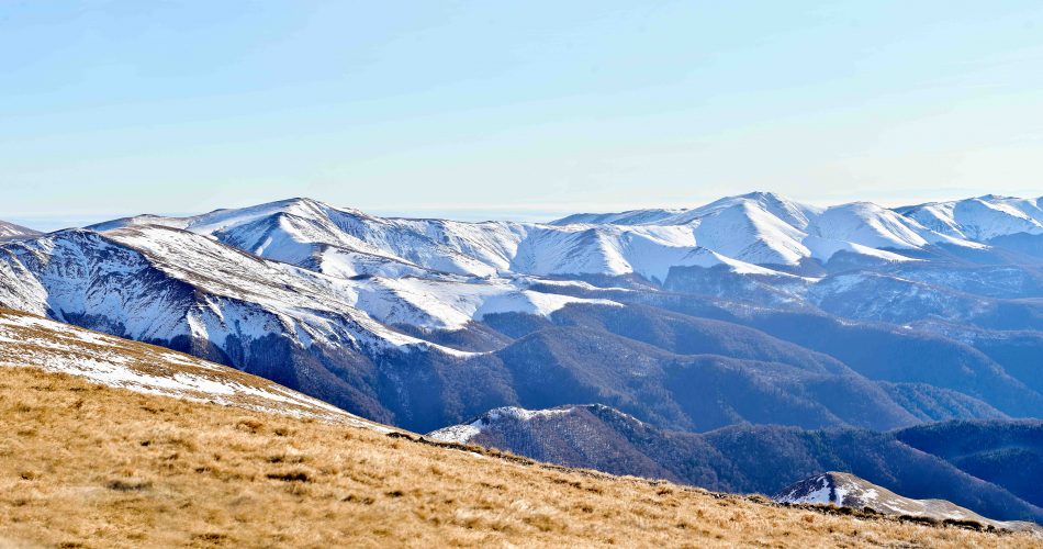 Tarcu-Peak-winter-hike-26