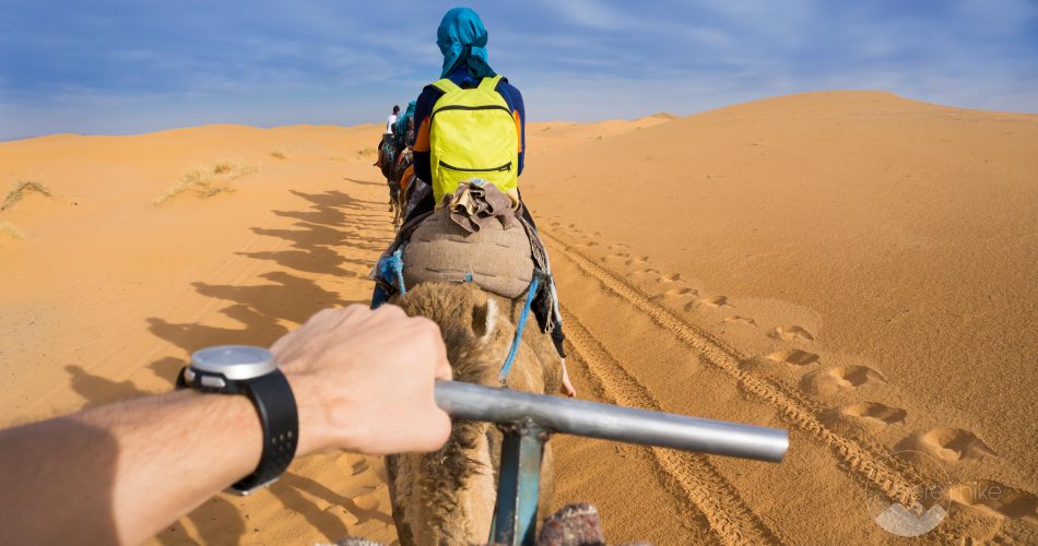 morocco-desert-experience-56