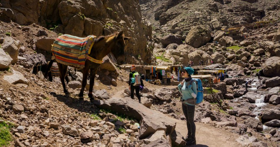 morocco-hiking-toubkal-14