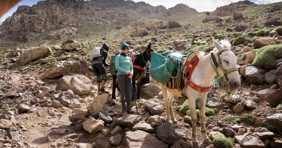 morocco-hiking-toubkal-24