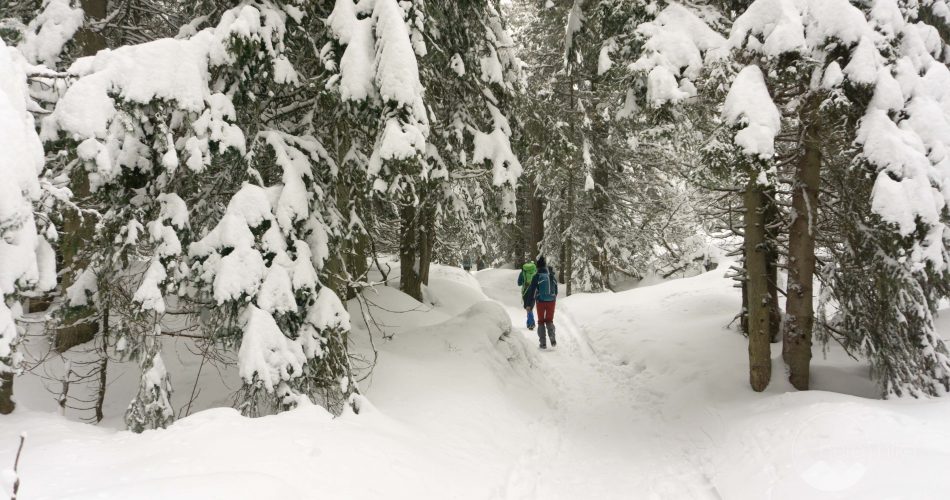 slovakia-tatras-winter-hike-25